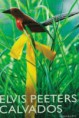 /album/fictieautobiografie/download-5-jpg1/
